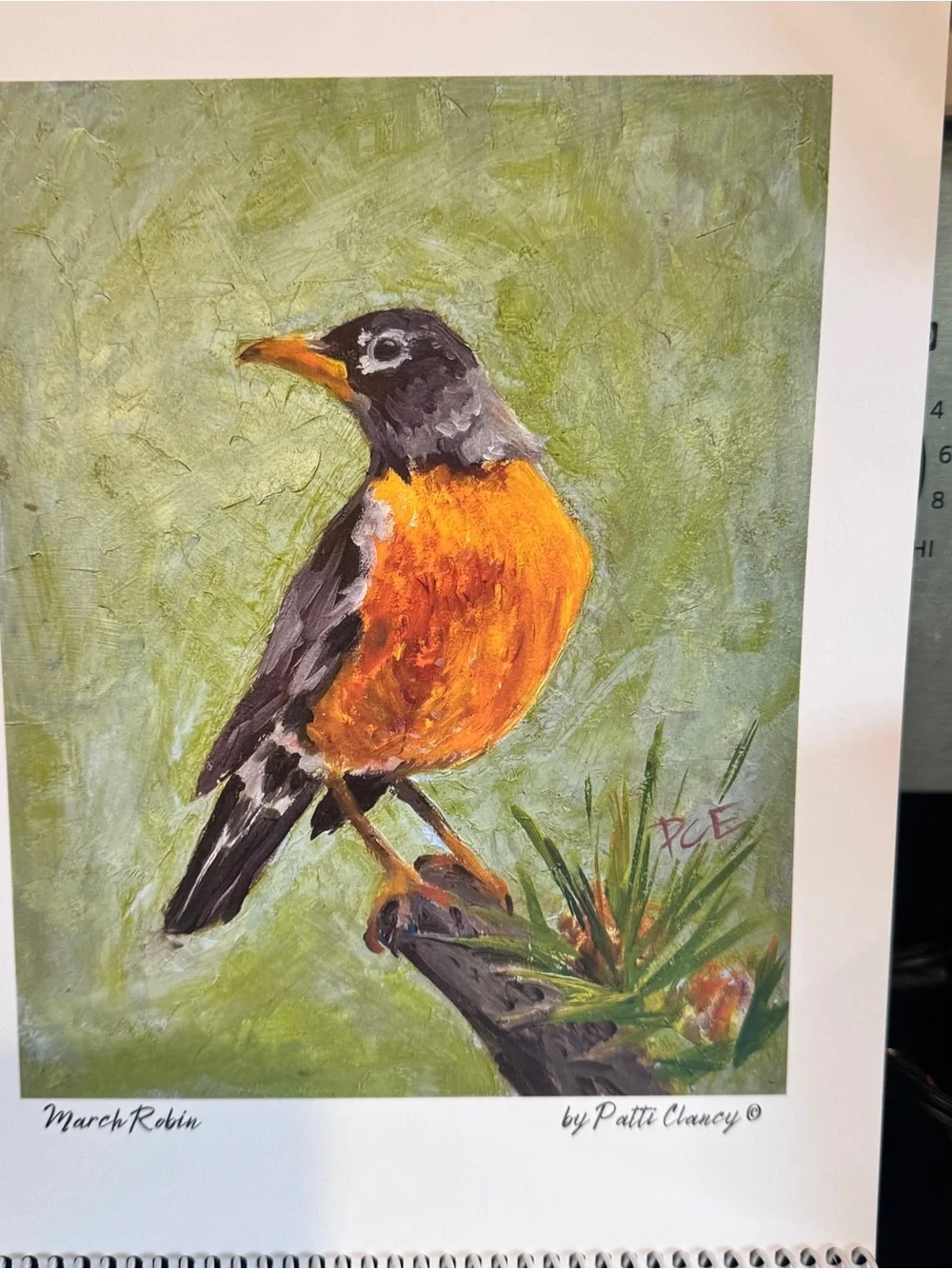 12 Birds of the Month for Framing or Crafting original oil paintings P. Clancy